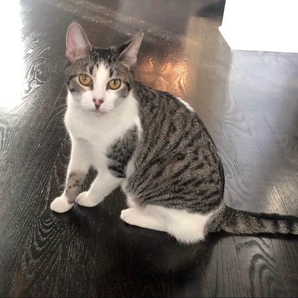 Meet your Posher, Julia - Picture 7 of 8